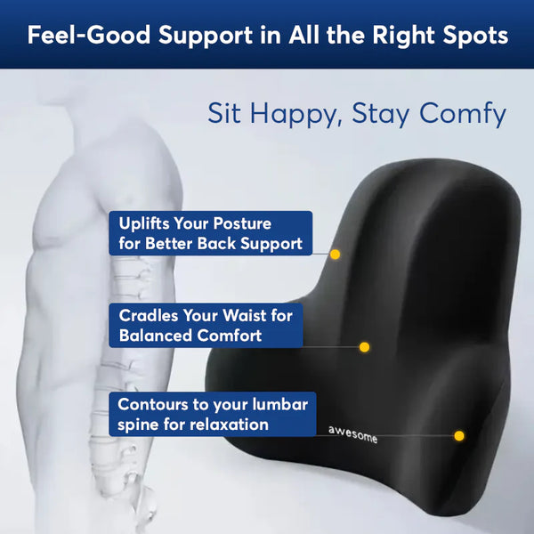 Memory Foam Lumbar Back Cushion